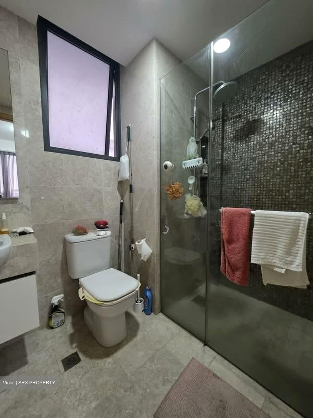 La Fiesta (D19), Condominium #555570091